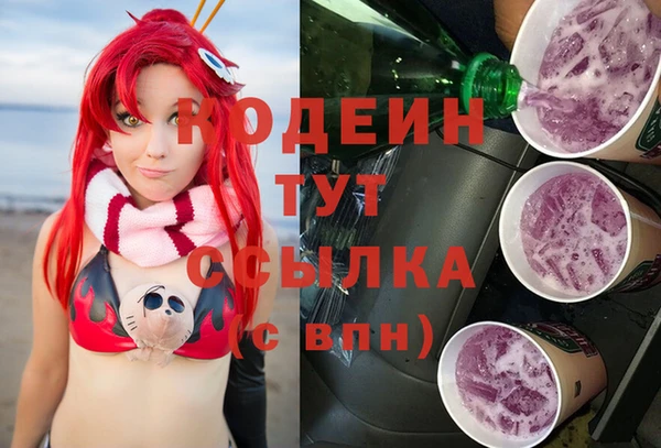 прущие грибы Осташков